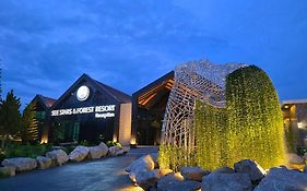 See Stars & Forest Resort